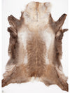 Reindeer Hide XXXXL