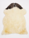 Multicoloured Sheepskin Rug M
