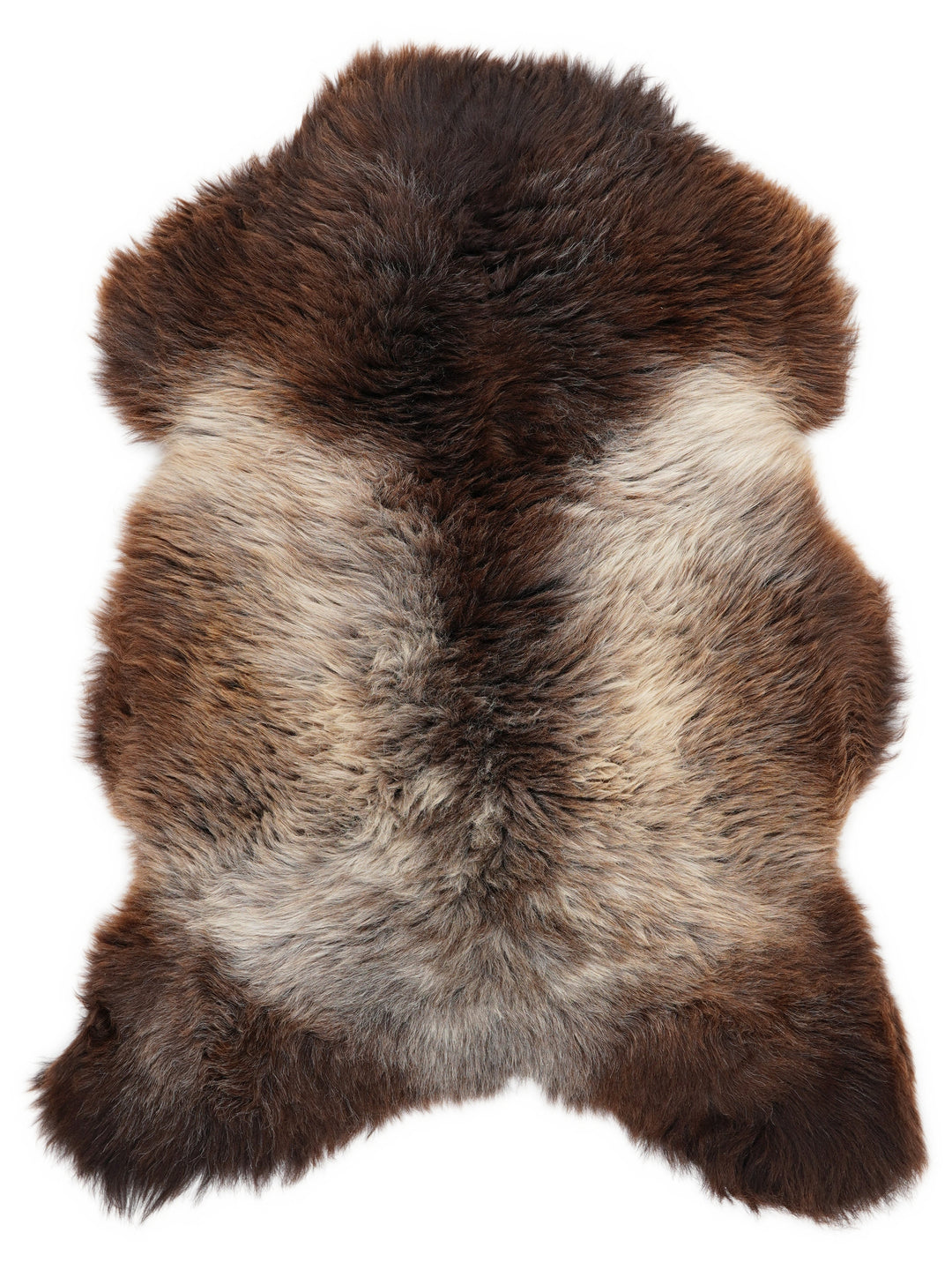 Įvairiaspalvis avikailis L