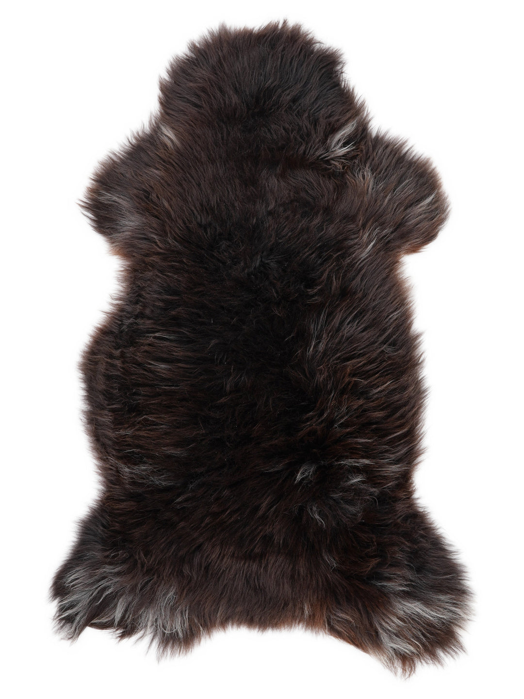 Įvairiaspalvis avikailis XL