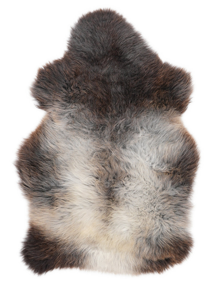 Įvairiaspalvis avikailis M